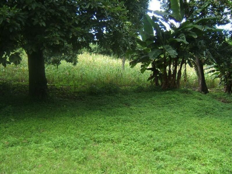 Venta Terreno Santo Domingo