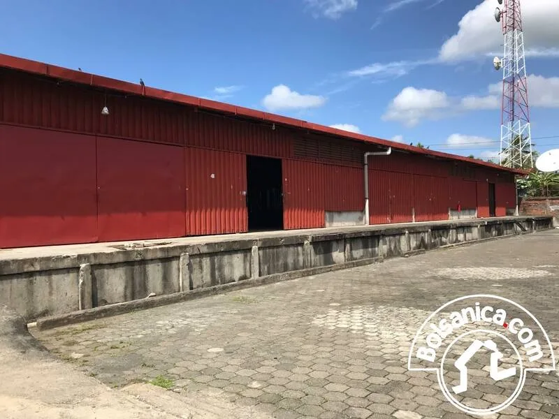 Se Alquila Bodegas Bolonia Managua - foto 4