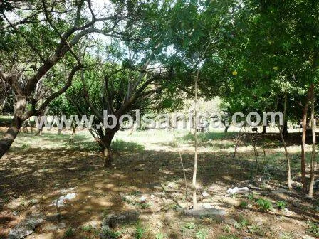 Se Vende Terreno Managua - foto 5