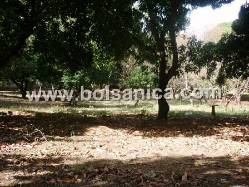 Se Vende Terreno Managua 