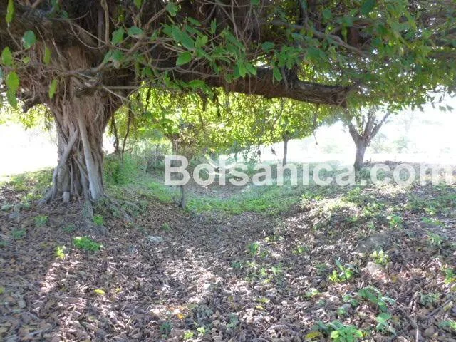 Venta de Terreno sobre la Carretera Nueva a León, Managua - foto 11