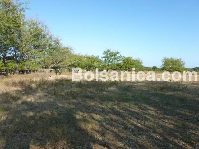 Venta de Terreno sobre la Carretera Nueva a León, Managua - foto 9