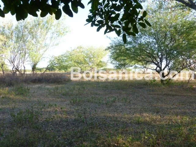 Venta de Terreno sobre la Carretera Nueva a León, Managua - foto 8