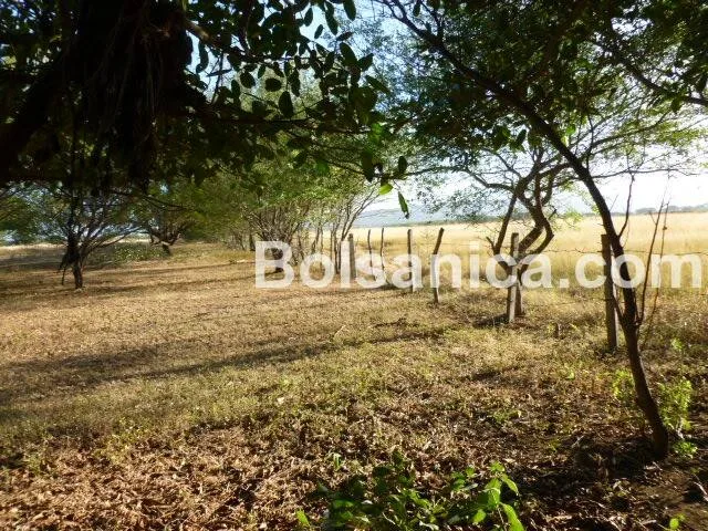 Venta de Terreno sobre la Carretera Nueva a León, Managua - foto 7