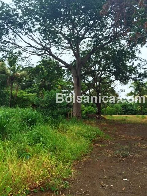 Venta de Terreno en area Jean Paul Genie, Managua - foto 3