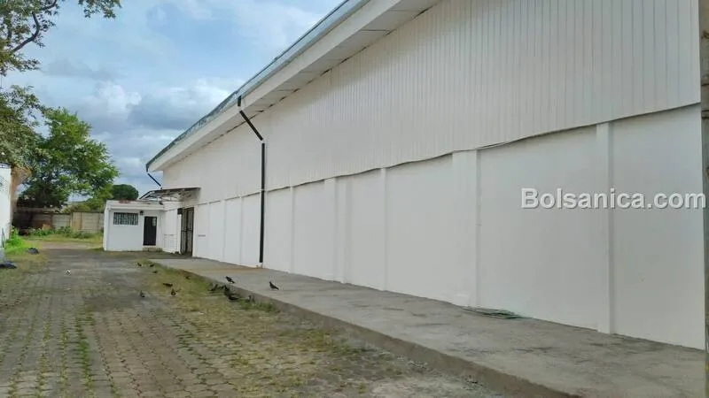 Alquiler de Bodega con Oficinas y Showroom, Carretera Norte - foto 11