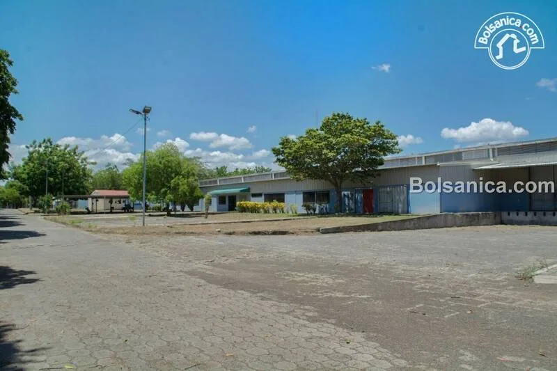 Alquiler de Bodega, Carretera Nueva León - foto 3