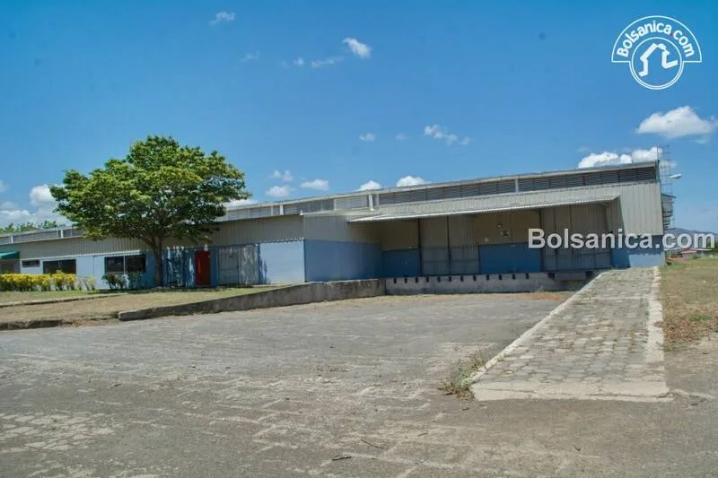 Alquiler de Bodega, Carretera Nueva León - foto 2