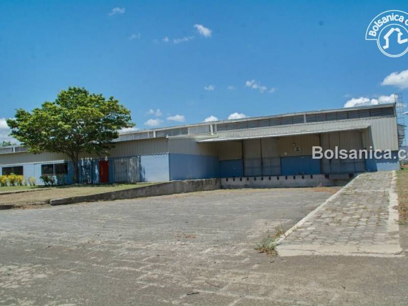 Alquiler de Bodega, Carretera Nueva León