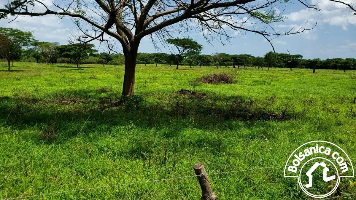 Venta de finca en Villa el Carmen, Managua, foto 9
