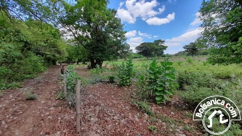 Venta de Finca en Villa el Carmen, Managua - foto 10