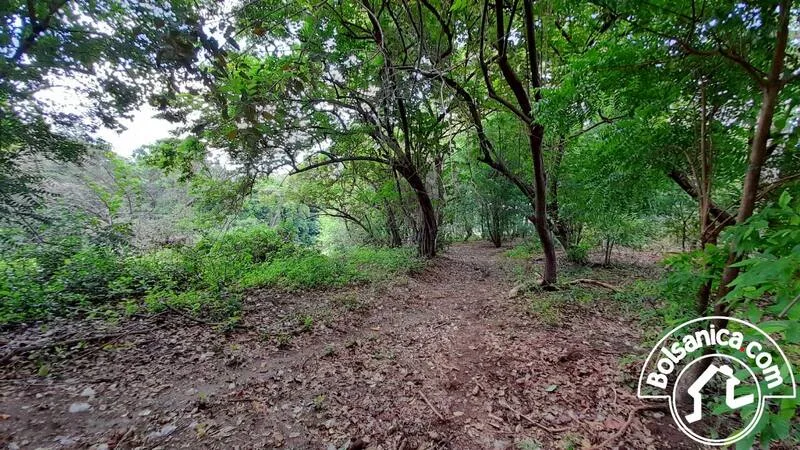 Venta de Finca en Villa el Carmen, Managua - foto 11