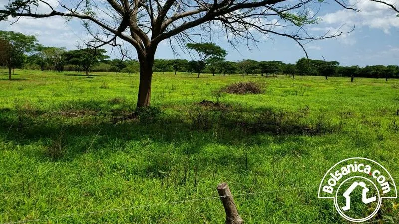 Venta de Finca en Villa el Carmen, Managua - foto 9