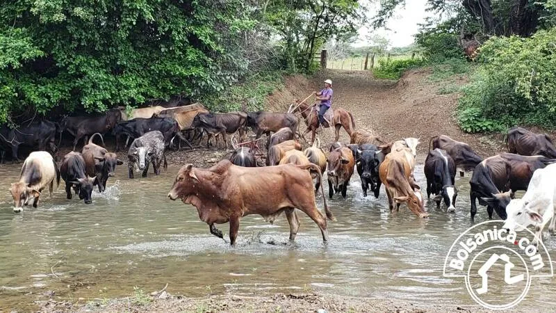 Venta de Finca en Villa el Carmen, Managua - foto 12