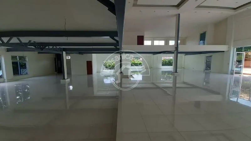 Alquiler de Edificio 805 m2