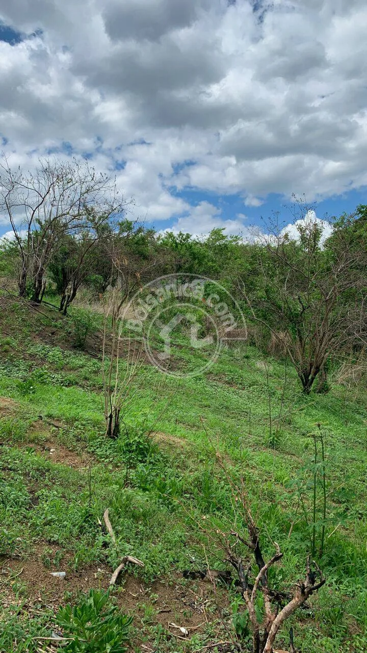 Venta de Terreno en Pista Suburbana - foto 3