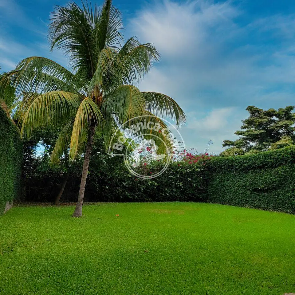 Alquiler de casa en Santo Domingo, Managua, foto 8