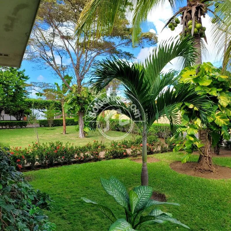 Venta de Condo con 3 casas Carretera Masaya km 12 - foto 8