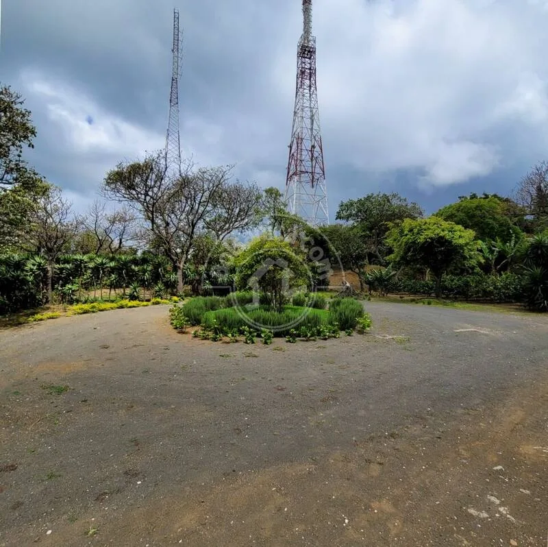 Venta de Finca en Carretera Sur - foto 14