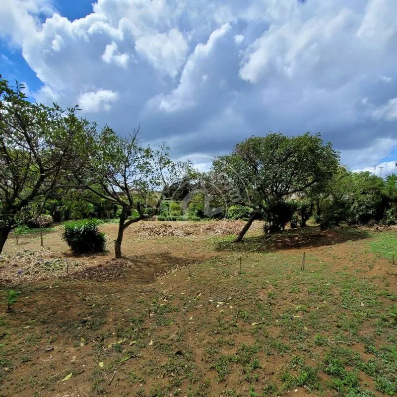Venta de Finca en Carretera Sur - foto 2
