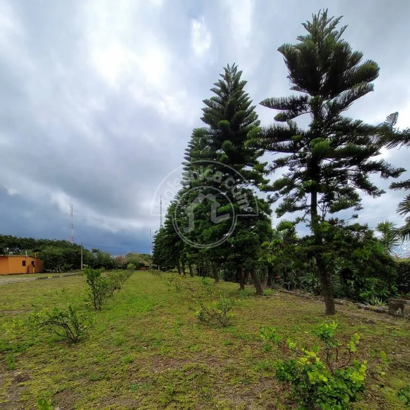 Venta de Finca en Carretera Sur - foto 9
