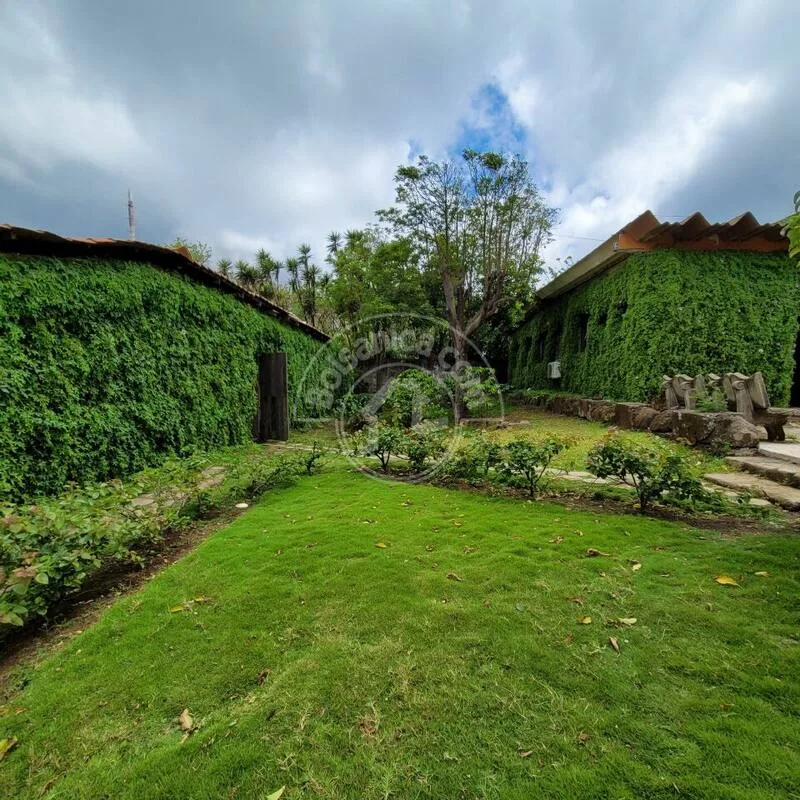Venta de Finca en Carretera Sur - foto 12