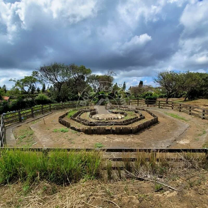 Venta de Finca en Carretera Sur