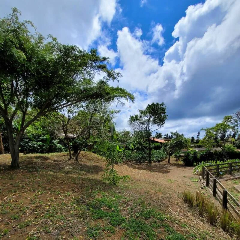 Venta de Finca en Carretera Sur - foto 4