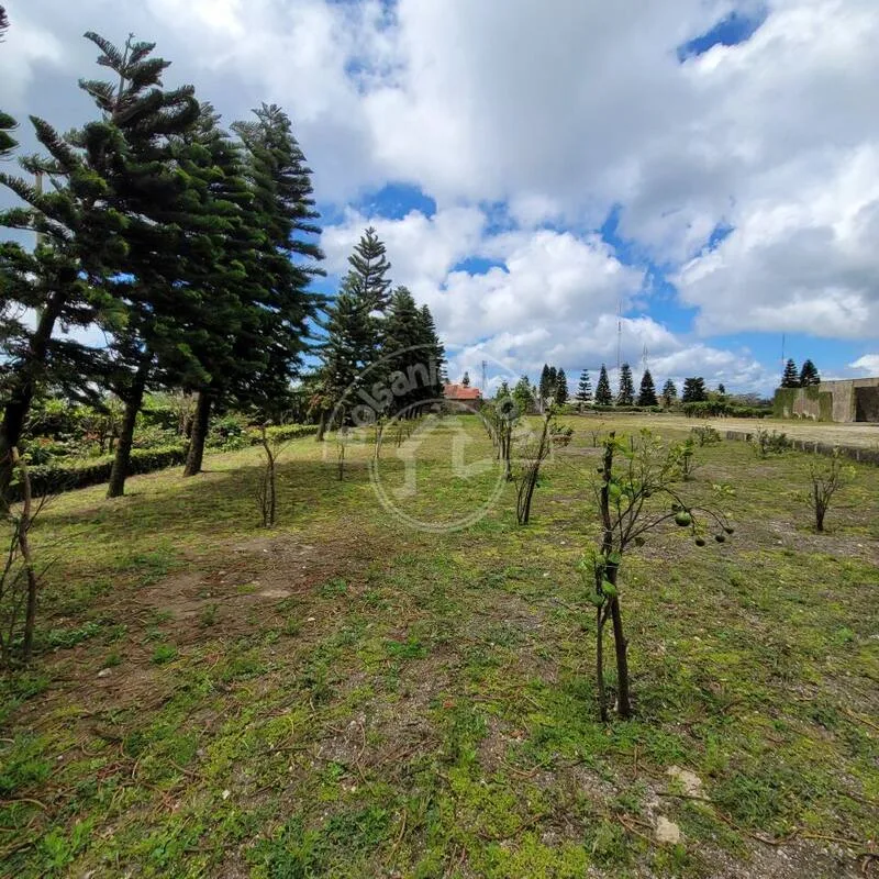 Venta de Finca en Carretera Sur - foto 10