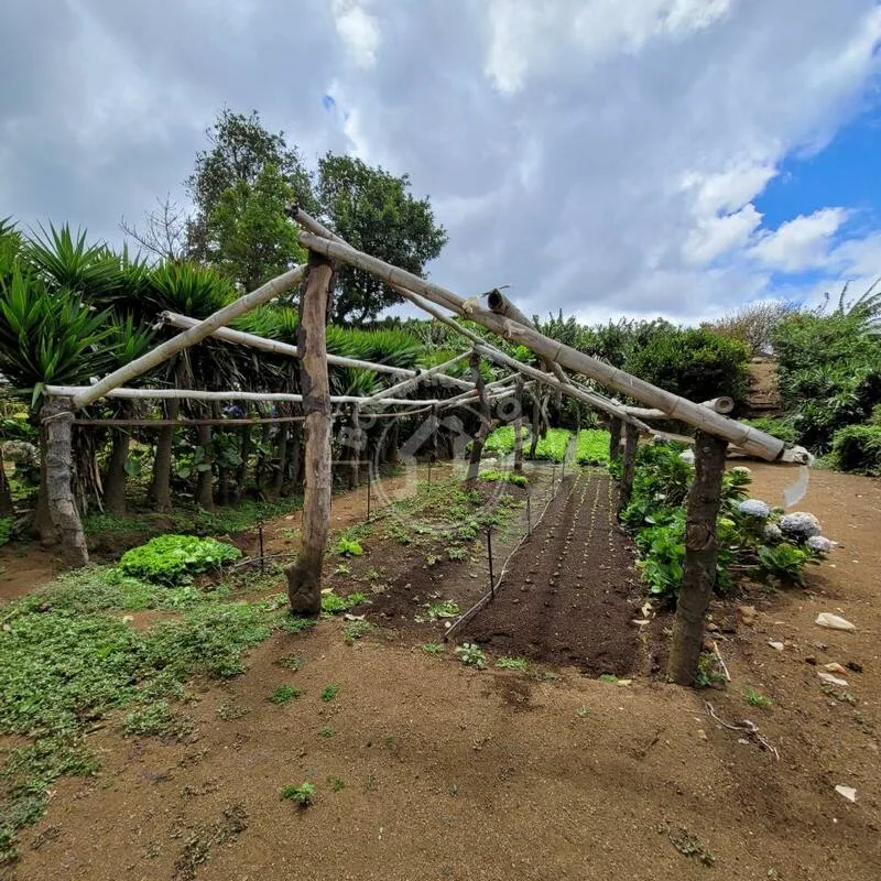 Venta de Finca en Carretera Sur - foto 6