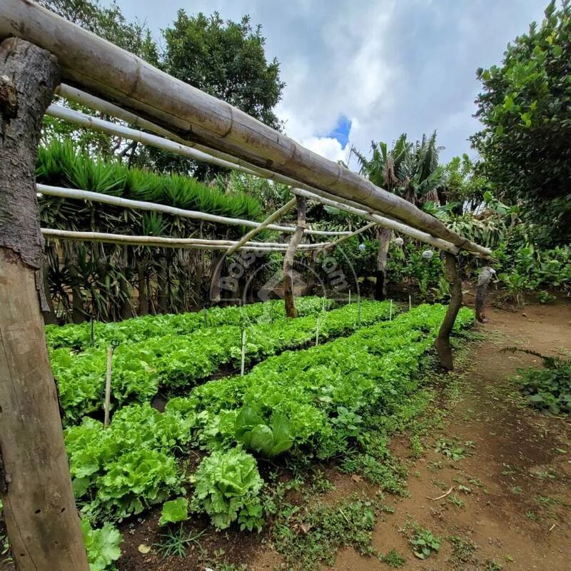 Venta de Finca en Carretera Sur - foto 7