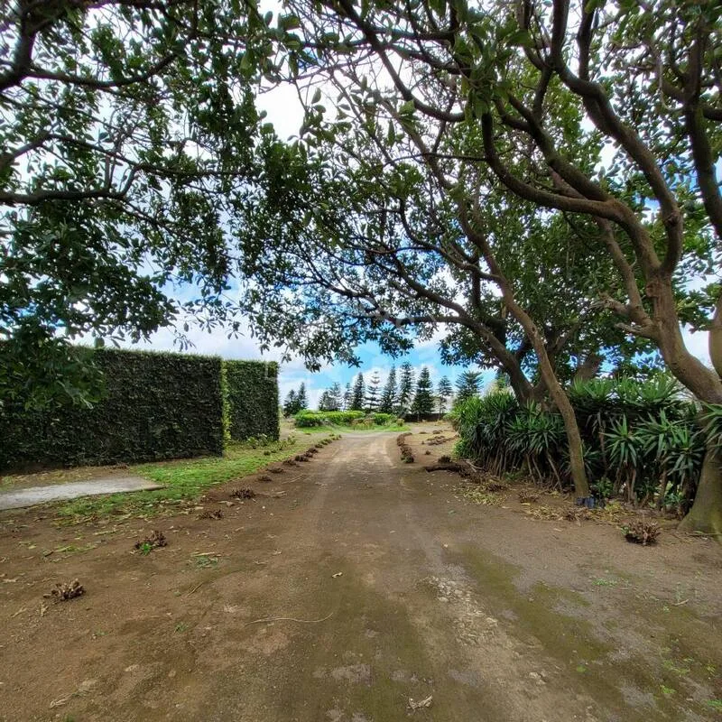 Venta de Finca en Carretera Sur - foto 15