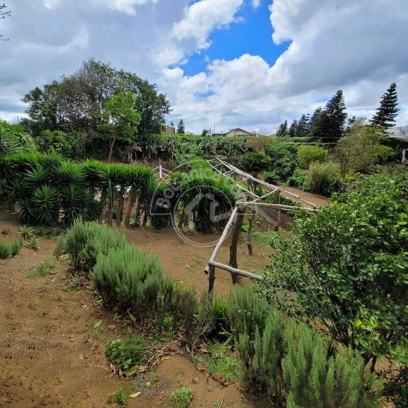 Venta de Finca en Carretera Sur - foto 3