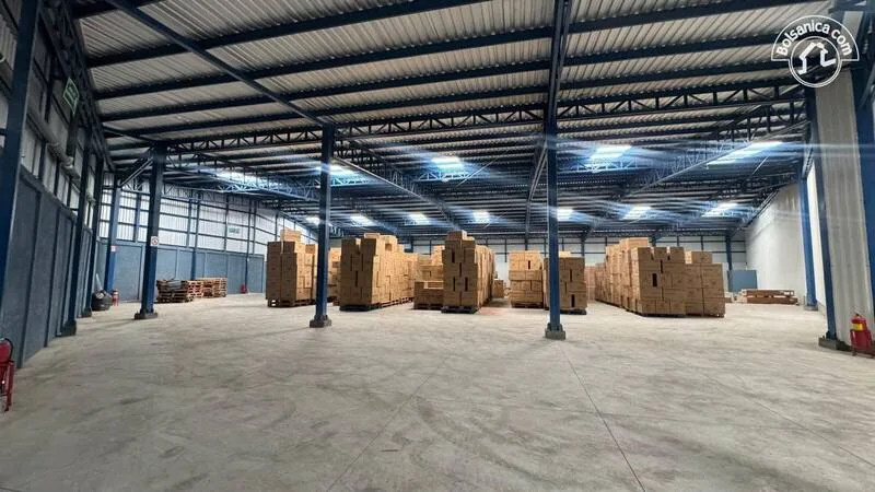Alquiler bodega 750m2 Carretera Masaya / Las Colinas - foto 6