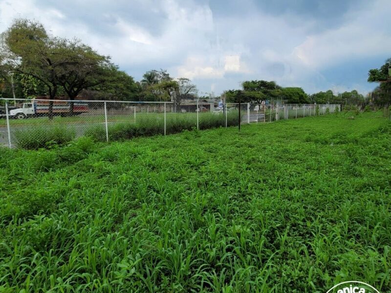 Venta de terreno frente a Carretera Masaya