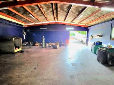Alquiler bodega 550 M2 con 2500 v2, zona ENEL CENTRAL 