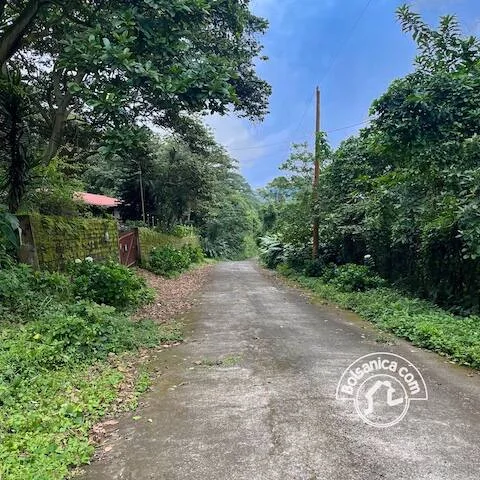 Venta de antigua FInca de Cafe, Las Nubes - foto 6