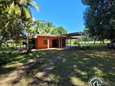 Venta de Terreno Sabana Grande, Managua