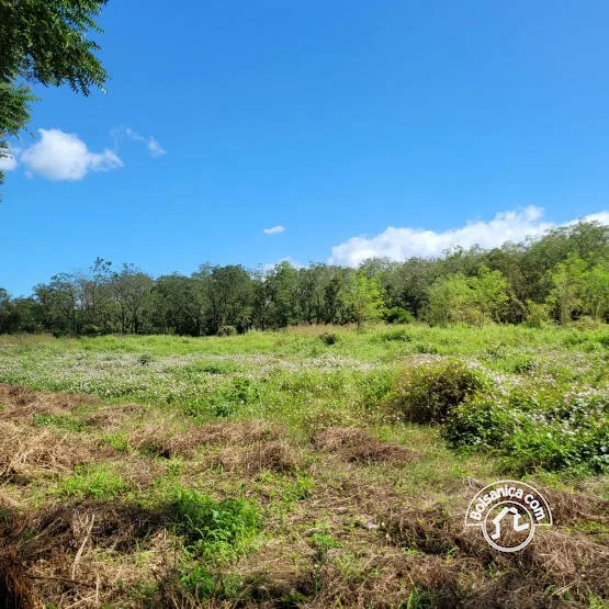 Venta de Terreno Sabana Grande, Managua - foto 2