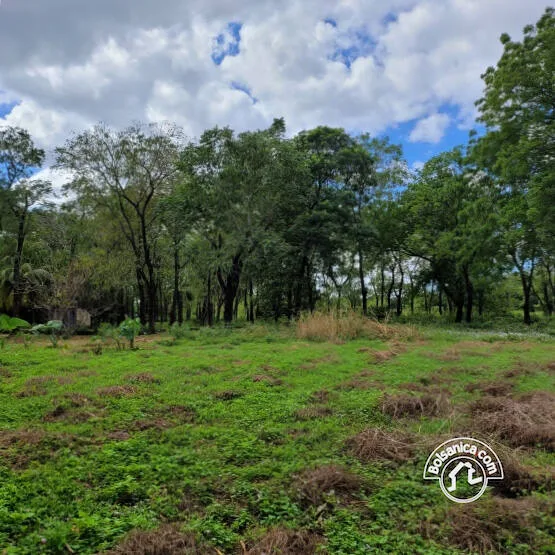 Venta de Terreno Sabana Grande, Managua - foto 3