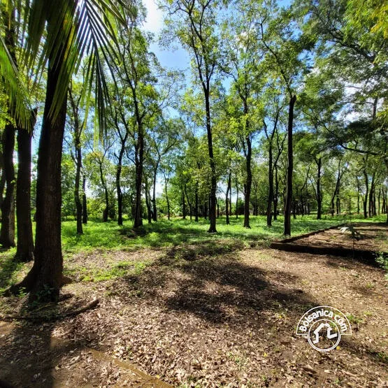 Venta de Terreno Sabana Grande, Managua - foto 6