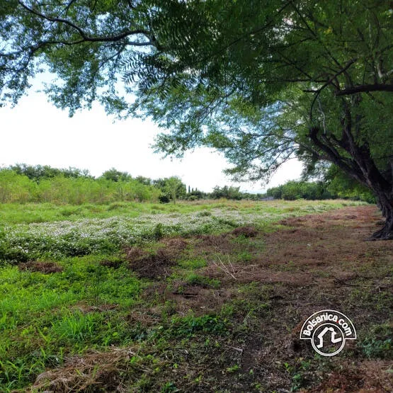 Venta de Terreno Sabana Grande, Managua - foto 7