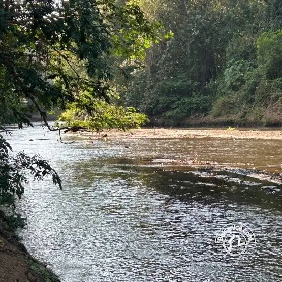 Venta de finca en Villa el Carmen, Managua, foto 18