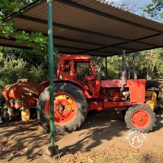Venta de finca en Villa el Carmen, Managua, foto 16