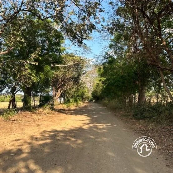 Venta de Finca Forestal, Villa El Carmen - foto 10