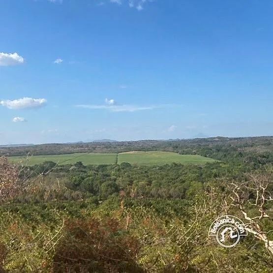 Venta de Finca Forestal, Villa El Carmen - foto 4