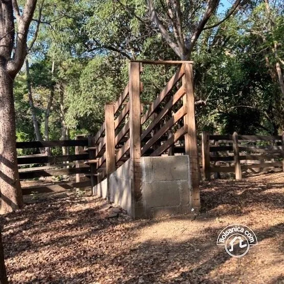 Venta de Finca Forestal, Villa El Carmen - foto 7