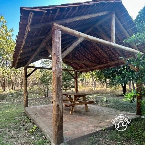 Venta de Finca Forestal, Villa El Carmen - foto 11