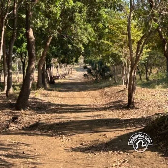 Venta de Finca Forestal, Villa El Carmen - foto 14
