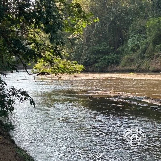 Venta de Finca Forestal, Villa El Carmen - foto 18